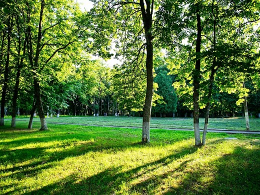 Экология Наро–Фоминска – лучшее место для жизни