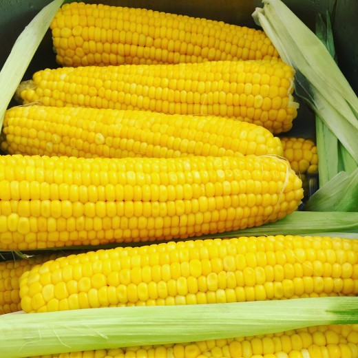 Фестиваль деревенской еды и кукурузы на Летнем Рынке «Фермерия» в Парке Ремесел на ВДНХ 