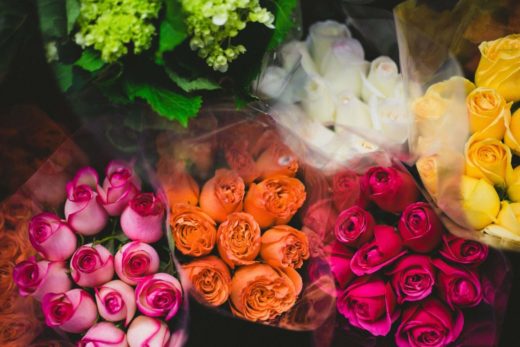 Что символизируют цвета роз?