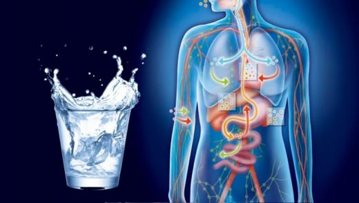 Роль воды в борьбе с кислотным обменом в организме