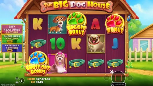 The Big Dog House