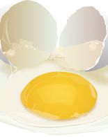 Яичный белок — источник полезных веществ