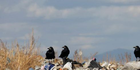 Спустя полгода с момента своего принятия фз № 458 продолжает бездействовать