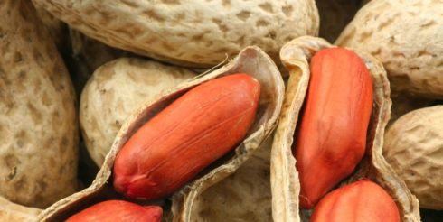 Арахис для свиней и россиян