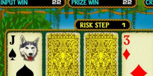 Новый игровой портал Crazy Monkey