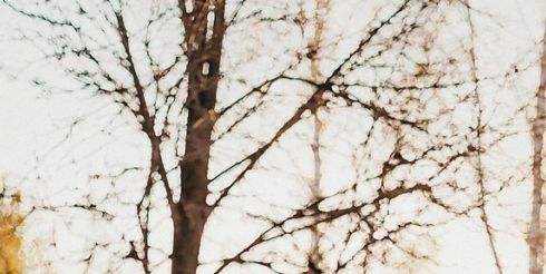 Современные павлопосадские платки с мехом – отличное качество по разумной цене