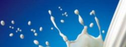 «Высший молочный стандарт» развенчивает мифы