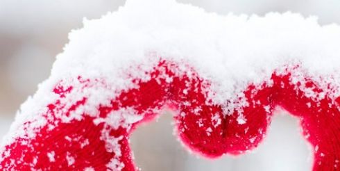 Тревел-блогеры из Driventure организовали флешмоб, направленный на поддержку российских спортсменов