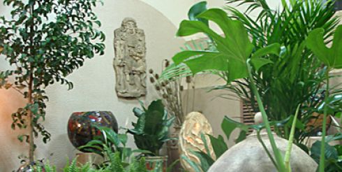 Создайте «живой уголок» вместе с «Альпиния»