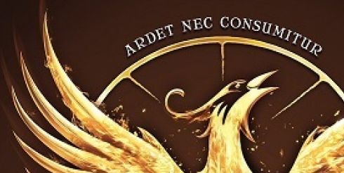 Фирменный стиль бренда Grimbergen был обновлен