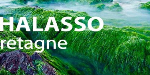 THALASSO BRETAGNE разработала серию комплексных программ для здоровья и красоты ног