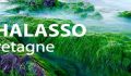 THALASSO BRETAGNE разработала серию комплексных программ для здоровья и красоты ног