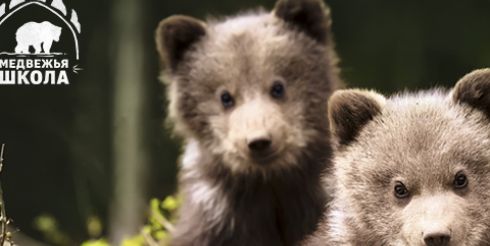 Цифровая премьера проекта «Медвежья школа» в приложении «Моя Планета»