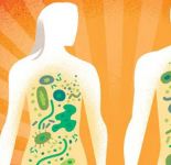 27 июня — Всемирный день микробиома. И сейчас лучшее время, чтобы узнать о нем побольше
