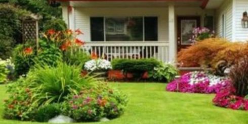 Благоустройте свою территорию лучшими способами