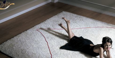 Хотите забыть о болезнях — заведите кошку