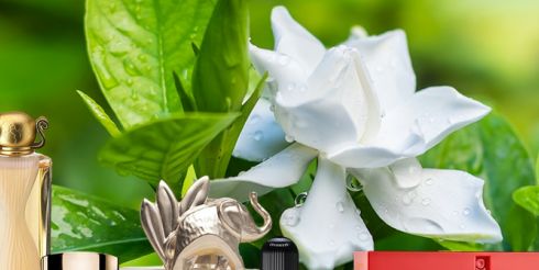 Духи с оттенком гардении — загадочные и элегантные