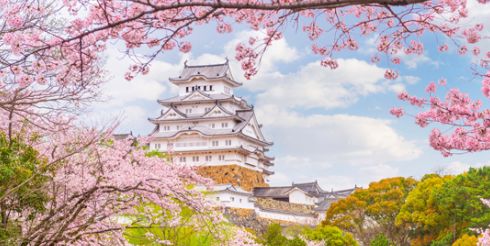 Страна восходящего солнца — узнайте о 5 причинах, по которым вы полюбите Японию!