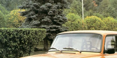 Самые узнаваемые товары регионов