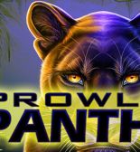 Виртуальные джунгли: опыт игры в слот Prowling Panther