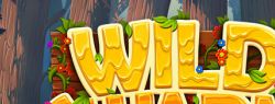 Wild Swarm: cлот от Push Gaming в медовой обертке