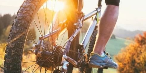 Как эффективно использовать конец лета: идеи для активного отдыха на природе