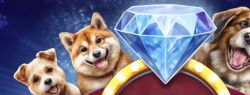 Diamond Doggies (Red Tiger): Блестящее приключение с пушистыми друзьями