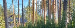 Уличный ящик для растений на дачу своими руками: рекомендации по сборке и общие советы