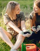 Дачная аптечка: как не превратить отдых в борьбу за выживание