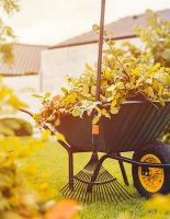 Чек-лист садовода: что обязательно нужно сделать в саду в октябре