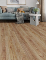 Мурчание на ламинате: как выбрать напольное покрытие так, чтобы и кот был доволен