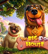 The Big Dog House: когда пригородная идиллия оборачивается серьёзной математикой
