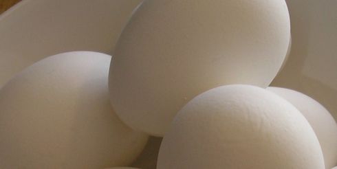 Яйца: есть или не есть – вот в чем вопрос