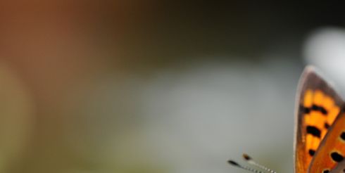 7 августа: это интересно знать