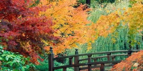 19 октября: это интересно знать