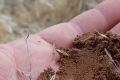 Что такое бонитировка почвы?