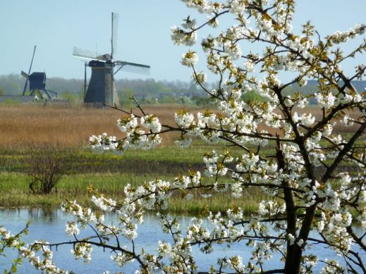 Нидерланды: фото-ассоциации