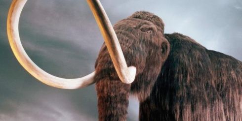 Российские ученые задумали клонировать древних животных