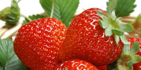 Невероятные свойства клубники найдены учеными