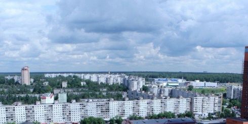 Жители Щелково Московской области хотят нового главу района