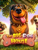 The Big Dog House: когда пригородная идиллия оборачивается серьёзной математикой